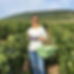 Picking Grapes _edited.jpg