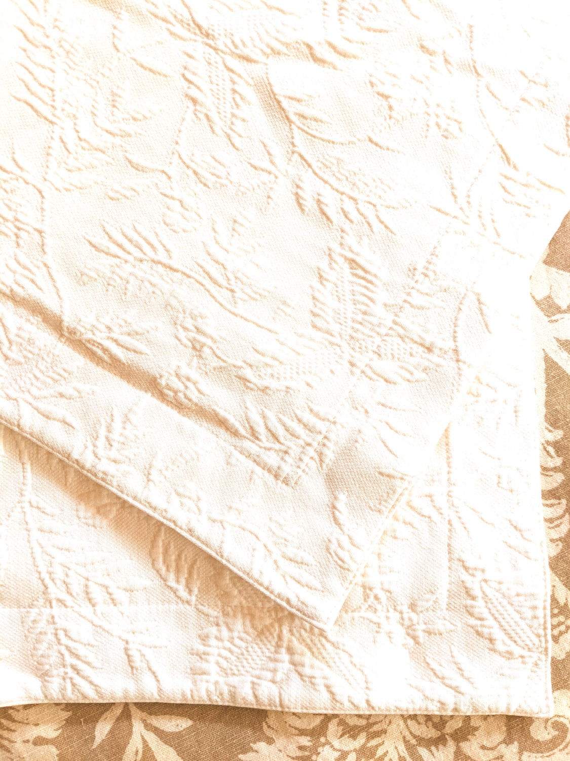 Ralph Lauren Matelassé Fern Leaf Creamy Standard Shams Pair