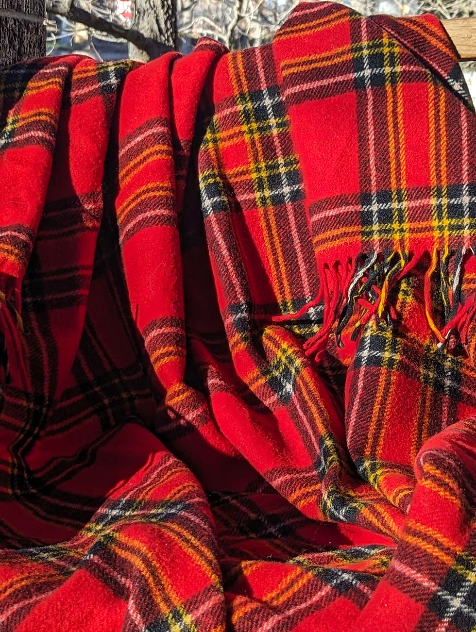 Thumbnail: Pendleton Wool Lap Throw Blanket Fringe Plaid Red Black 64in x 52in