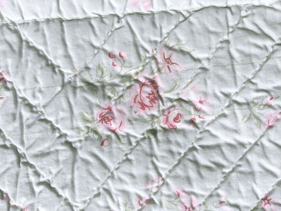 Simply Shabby Chic Lady Rose Std. Sham Cottage Floral Quilted