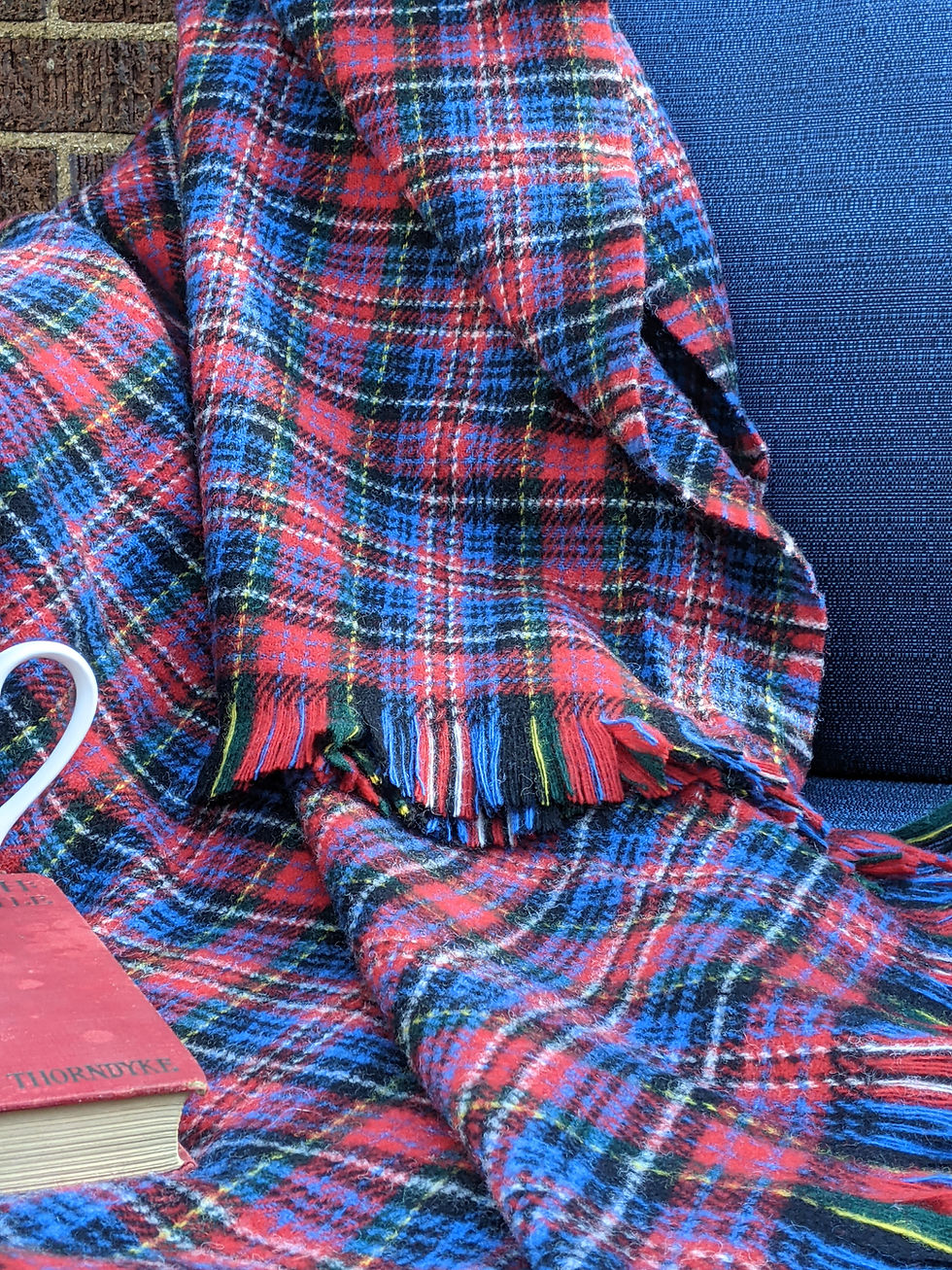 Thumbnail: https://www.chickadeevintage.com/product-page/amana-woolen-plaid-throw-blanket-red-blue-fringe-74x58in