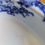 Thumbnail: Antique Furnivals Versailles Pattern 1890 Transferware Flow Blue 9.5in