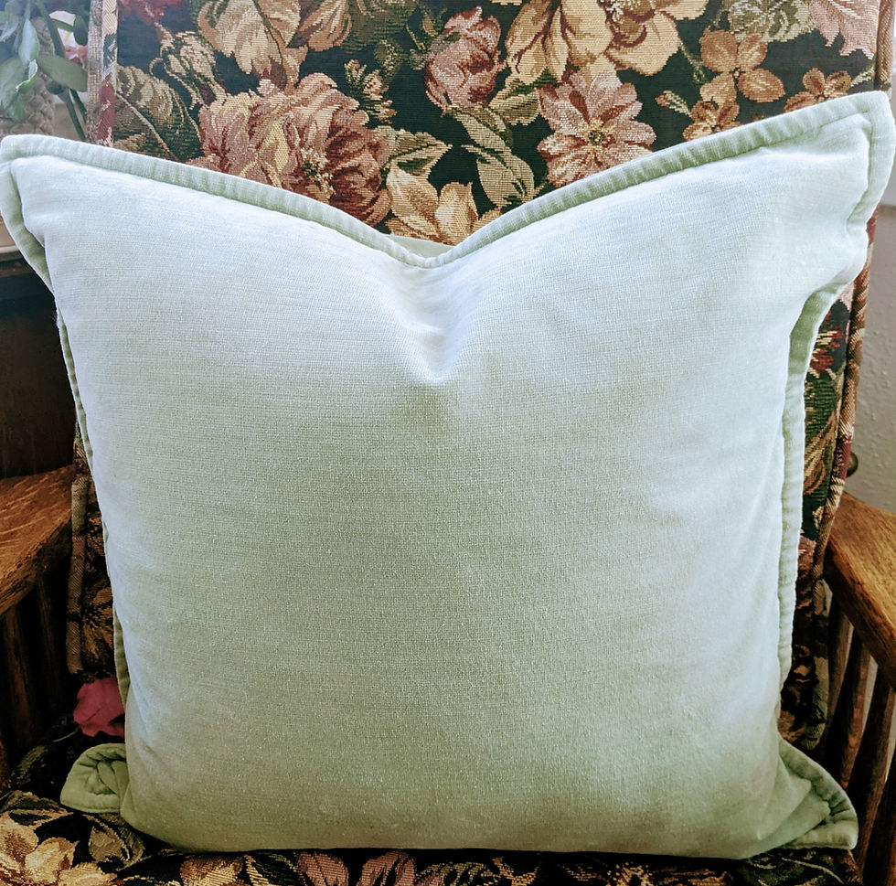 Pottery Barn Cotton Mint Velvet Throw Pillow 20in Feather Insert