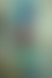 UDSMYKNING AF DR THEISS NATURWAREN