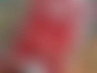 Les évasions particulières