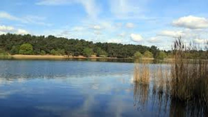 Green Spaces Survey