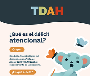 Captura de pantalla 2025-07-03 a la(s) 4.39.32 p.m..png