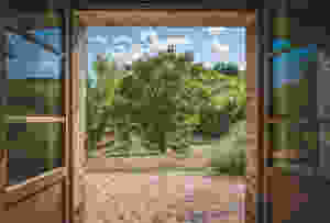 stepping through a door