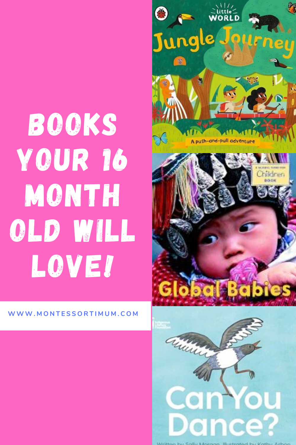 books for 16 month old