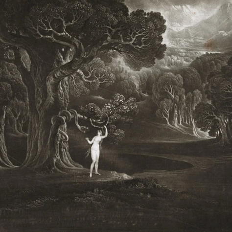The Woman Who Loved a Tree (Fiction + Interview)