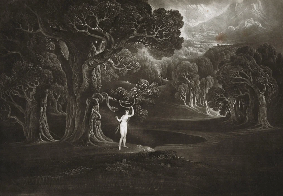 The Woman Who Loved a Tree (Fiction + Interview)
