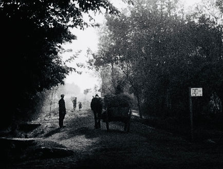 Farming in Central Poland, Julien H. Bryan, 1936
