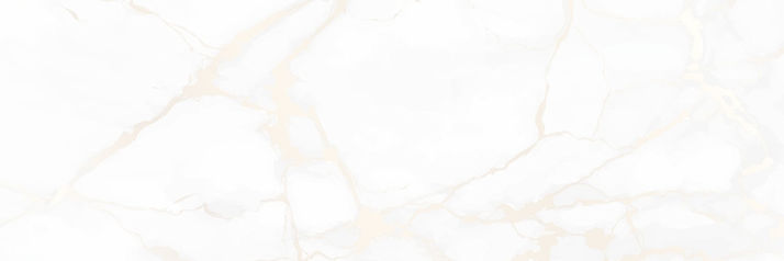 backgroundArtboard 1 copy.jpg