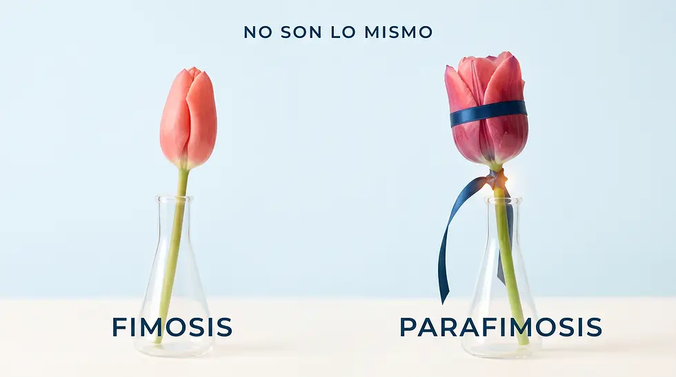 Dos tulipanes en jarrones: uno simple y otro atado con cinta azul. Texto: NO SON LO MISMO, FIMOSIS y PARAFIMOSIS.
