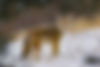 iStock-1183504443.jpg