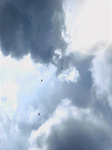 96D51CBE-824B-4665-9802-A36AA76C27FA_edited_edited_edited.jpg