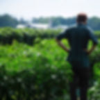 Farmer at Clarion River Organics looks over his field