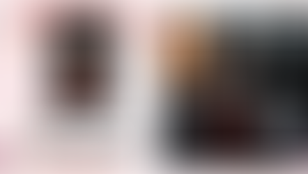 BLACK SWORD : T2. Beast et sa Belle - Anna Triss