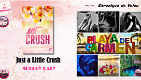  Just a little Crush - Shelby Kaly