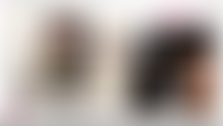 The Virgin's Price - Chloé Wilcox