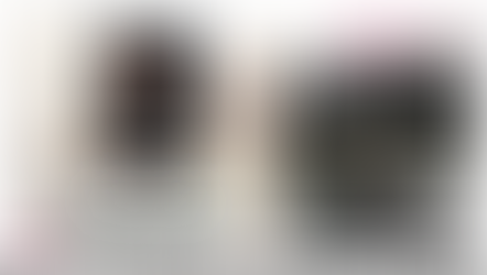 Black Haters, Tome 2: Vérité - Manon Donaldson