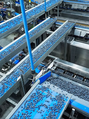 Exportaciones agrarias del Perú crecen 21,2 % y superan los US$ 9 809 millones en nueve meses
