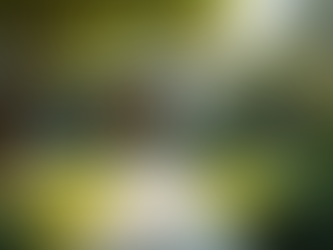 Building Resilience for a Stronger Future