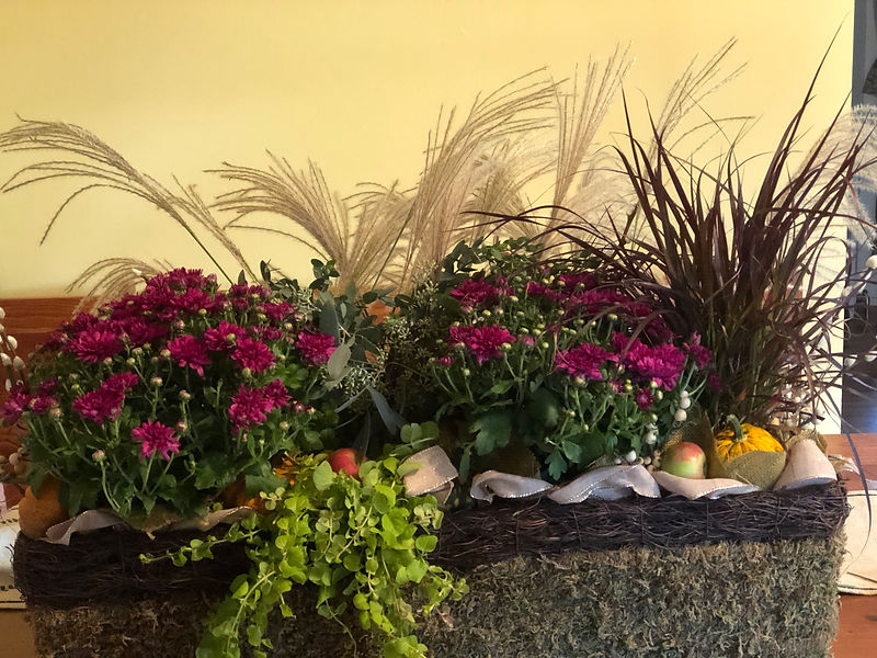 flowers1.JPEG