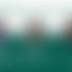 Internationalization Track and Export Training Program – Negotiation in a virtual environment