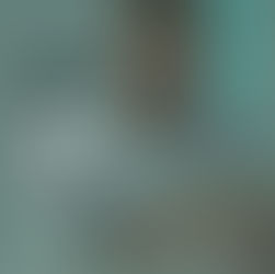 Webinar – Overcoming the Crisis – IBREI & ABCasa