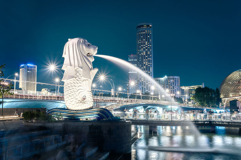 modello culturale di Singapore