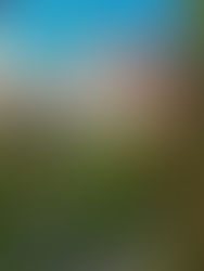 Foto di Coleen Rivas su Unsplash