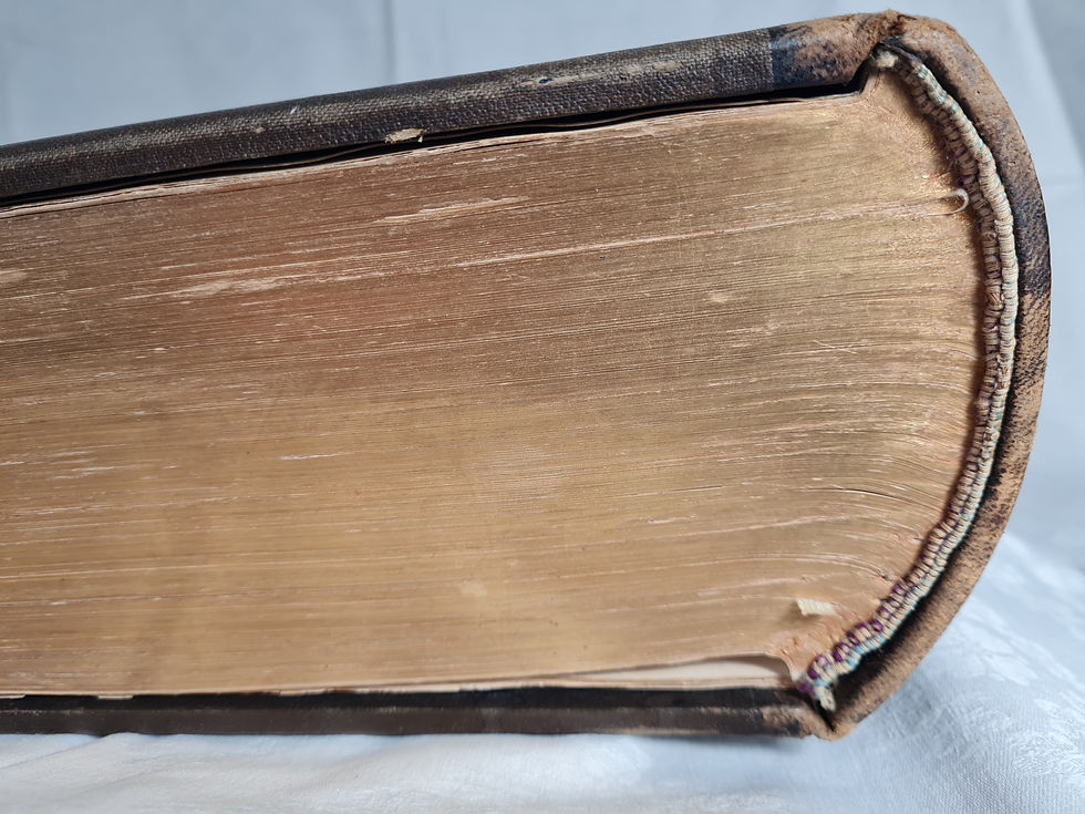 Miniature : Die heilige Schrift von Dore - Goldschnitt - um 1880 - Lutherbibel