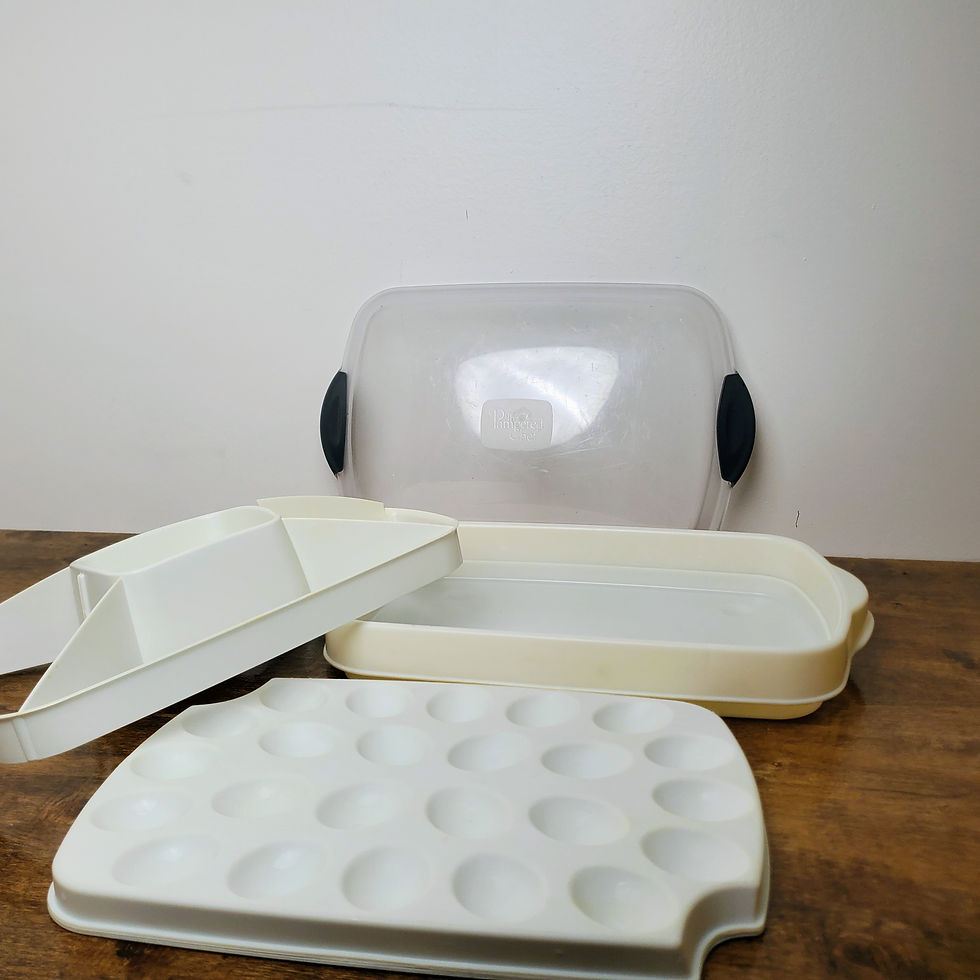 Pampered Chef Chillzanne Rectangle Server #2781 Deviled Egg Veggie Tray Lid
