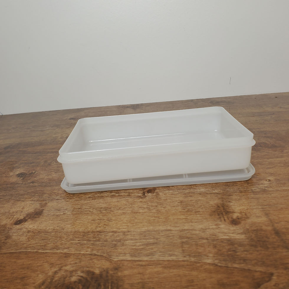 Thumbnail: Vintage Eagle Super Seal Storage Box 6x5x1.5 Rectangle USA Made