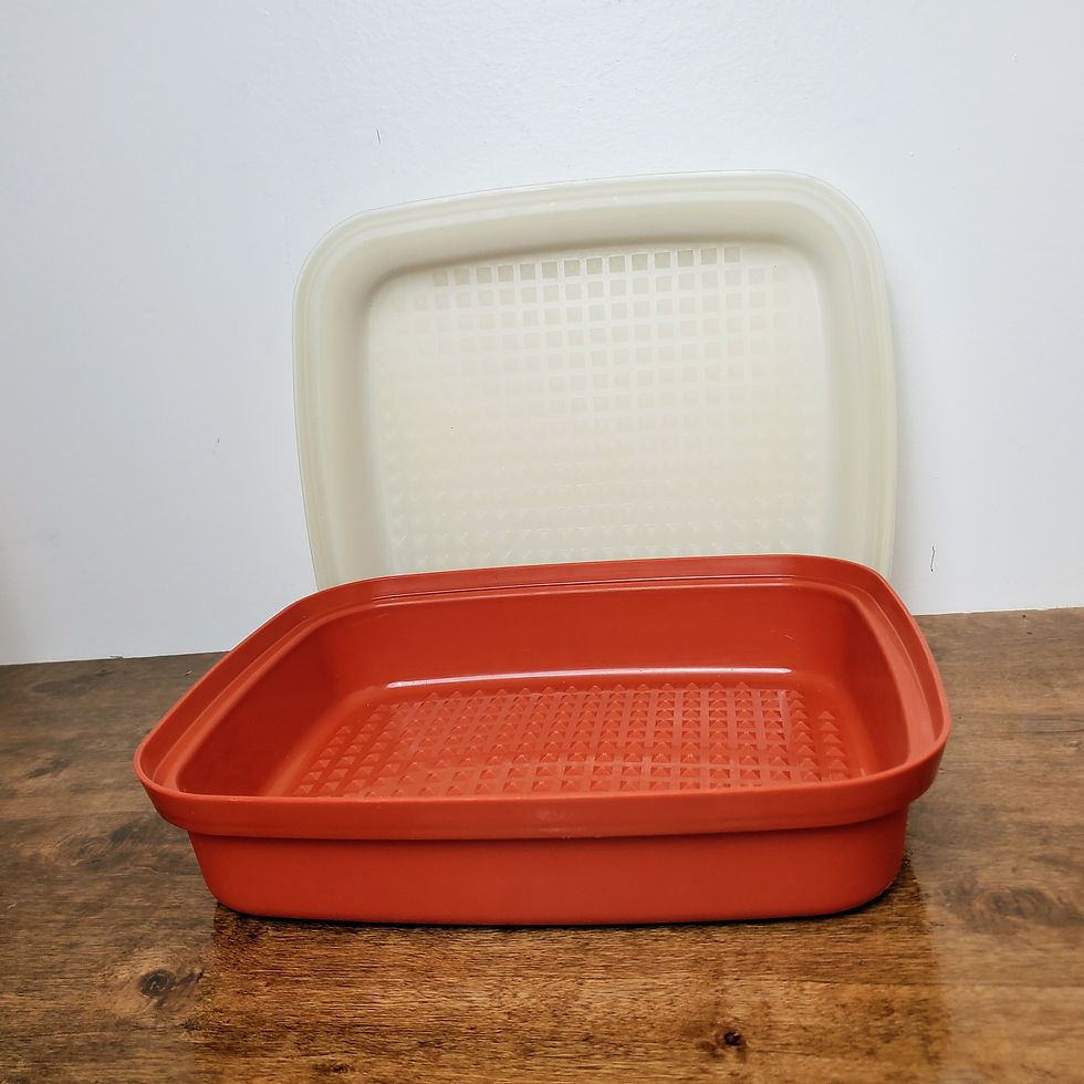 Tupperware Season Serve Marinating Tray 1294 Paprika Red Vintage Food Prep Grill