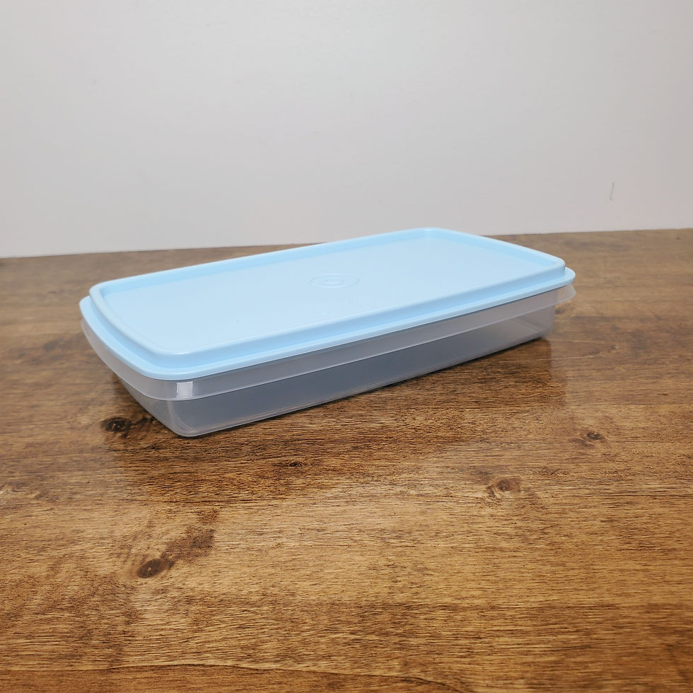 Tupperware Slim Line Deli Meat Cheese Keeper 9x5 Container Ice Blue Seal