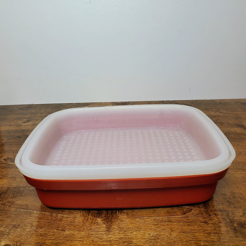 Thumbnail: Tupperware Marinade Container Meat Tenderizer Paprika Red Lid Sheer 1294/1295