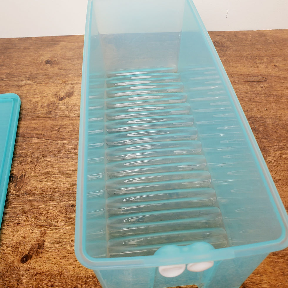 Tupperware FridgeSmart 19 Cup Large Dual Vent Container Blue Lid 3995 3996 Food Storage