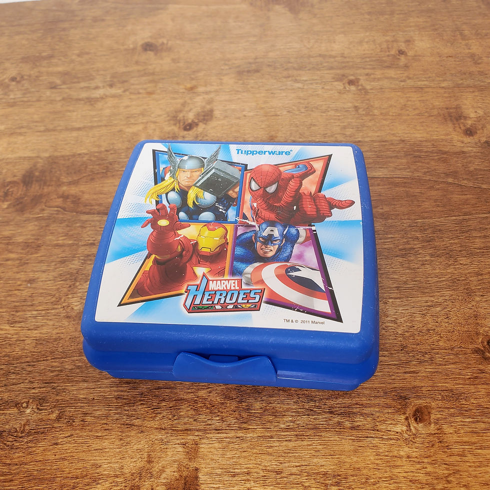 Tupperware 3752 Square Sandwich Keeper Blue Lunch Container Marvel Heroes