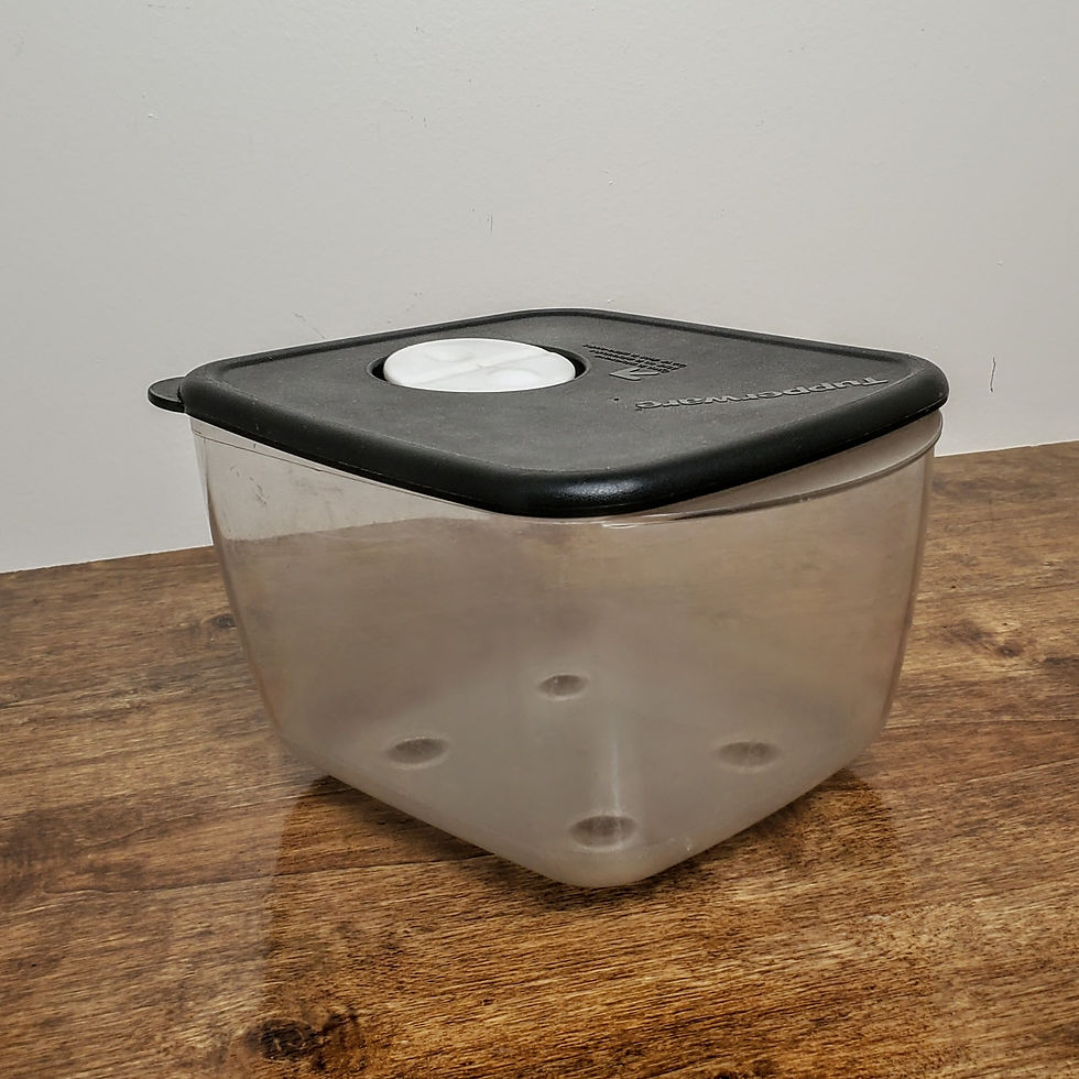 Tupperware Rock n Serve 6 1/4 Cup Microwave Container 3384