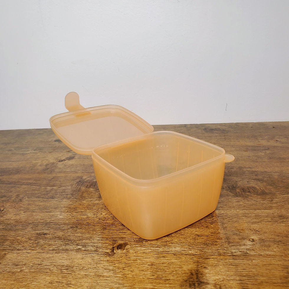 Thumbnail: Tupperware Forget Me Not Hanging Cheese Keeper 5338 Orange Vintage Fridge Container