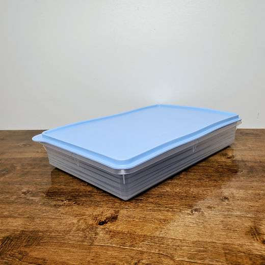 Tupperware Cold Cut Keeper Snack Stor Large 9x13 Pastel Blue NEW