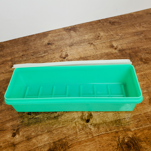 タッパーウェア　りーちゃん Vintage Tupperware Jade Green Celery Keeper lid veggie