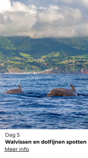 Prachtige wandelroutes op São Miguel, Azoren