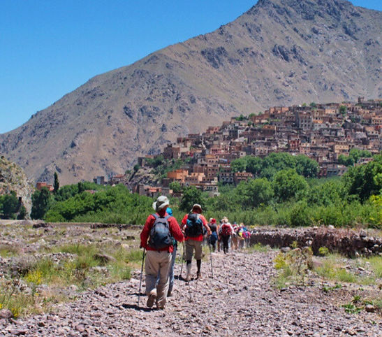 Postcards from last year (20).jpg