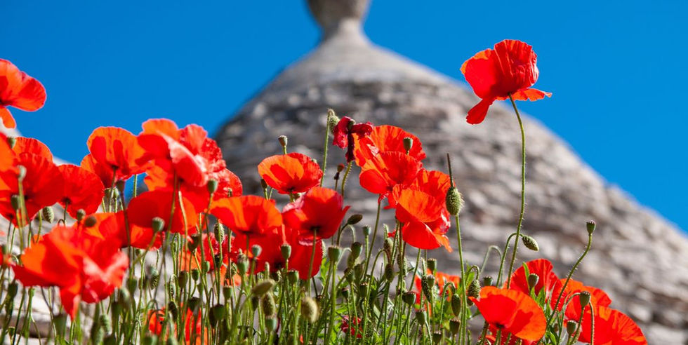 Uitzicht over de kust van Puglia tijdens een wandelvakantie in Italië