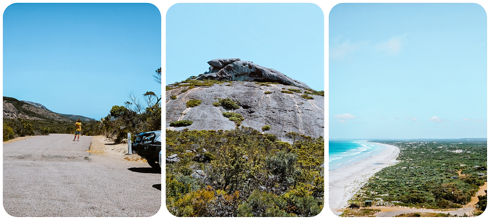 Wit zandstrand en turquoise water van Lucky Bay met een kangoeroe op de voorgrond – Cape Le Grand National Park bij Esperance, Australië”