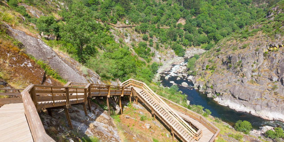 Natuurwandeling in Noord-Portugal