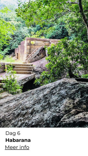 Wandelen in Sri Lanka tijdens een lange overwinterreis met kleine groep – ReisActief x ReisZin - actief overwinteren Sri Lanka